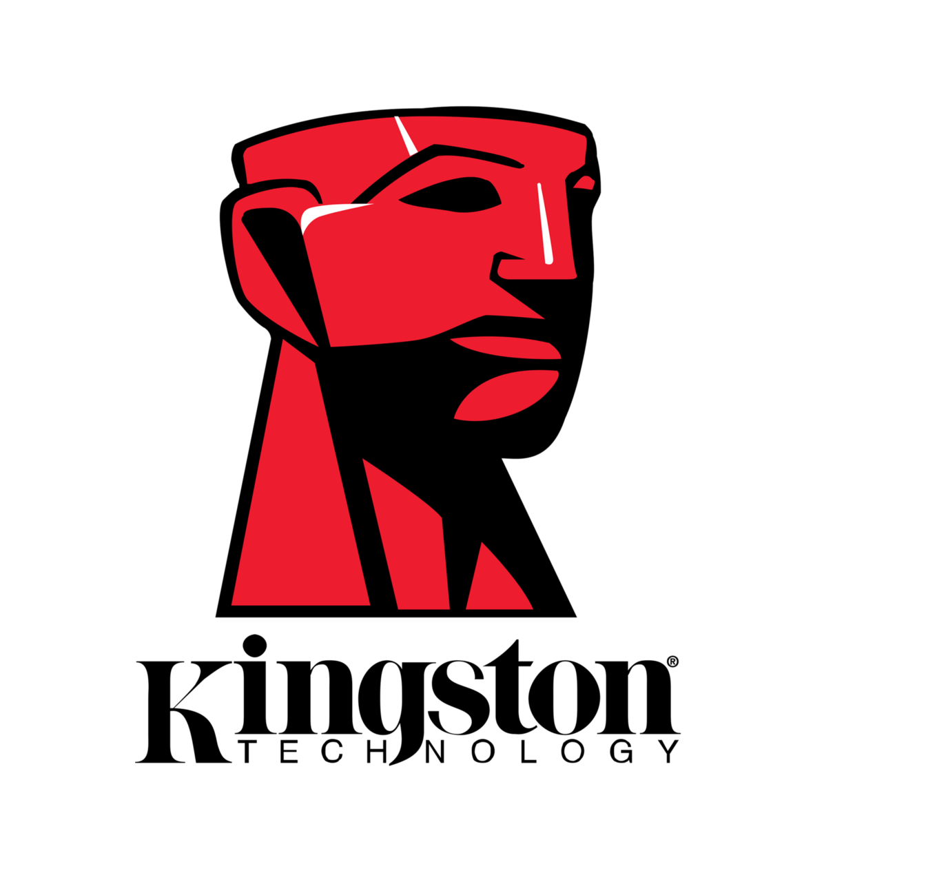 Image result for kingston technology